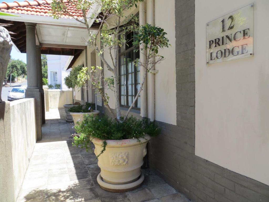 Prince Lodge Kaapstad Buitenkant foto